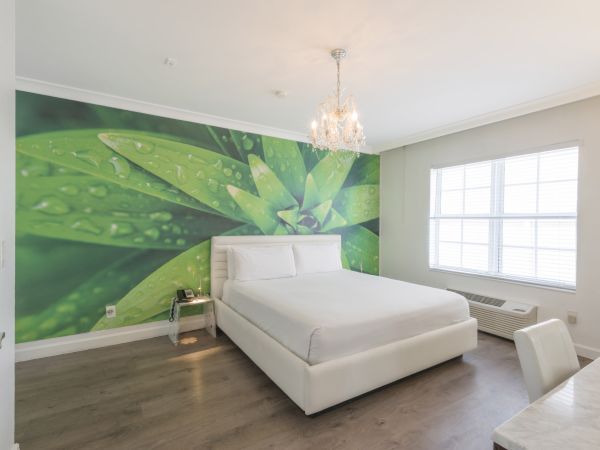 A modern bedroom with a large green leaf mural, a white bed, chandelier, wooden floor, desk, chair, and a window with blinds for natural light.