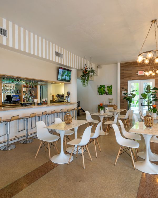 A modern and bright café/bar with white tables and chairs, a bar counter with stools, plants, and flat-screen TVs on the wall, ending the sentence.