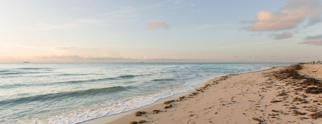 A serene beach scene with gentle waves, a stretch of sandy shore, some seaweed, and a partly cloudy sky.